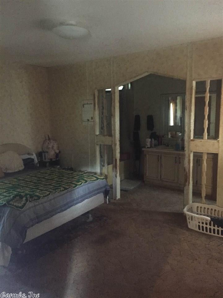 305 Simstown Rd, Evening Shade, AR 72532 photo 9