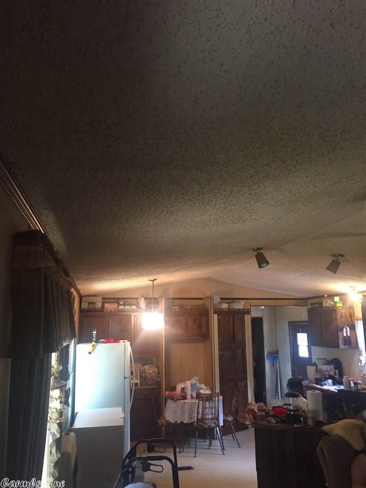 305 Simstown Rd, Evening Shade, AR 72532 photo 6