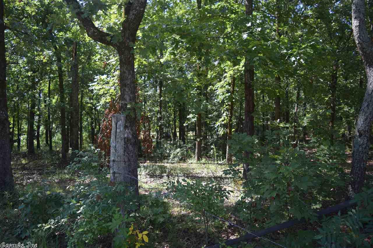 2002 Pride Gap, Cabot, AR 72023 photo 31