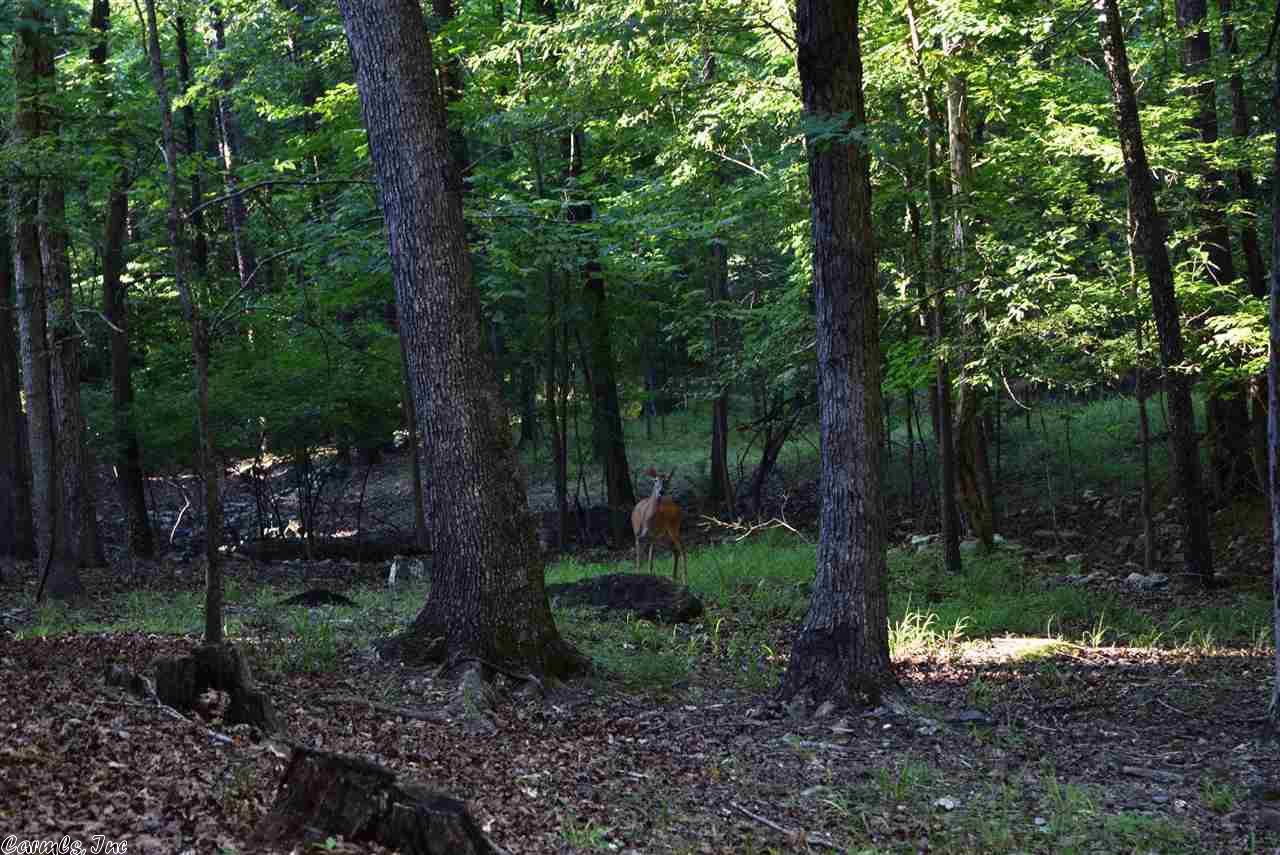 12 Peninsula Dr # d, Mount Ida, AR 71957 photo 32