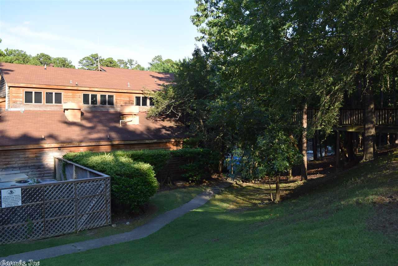 12 Peninsula Dr # d, Mount Ida, AR 71957 photo 31