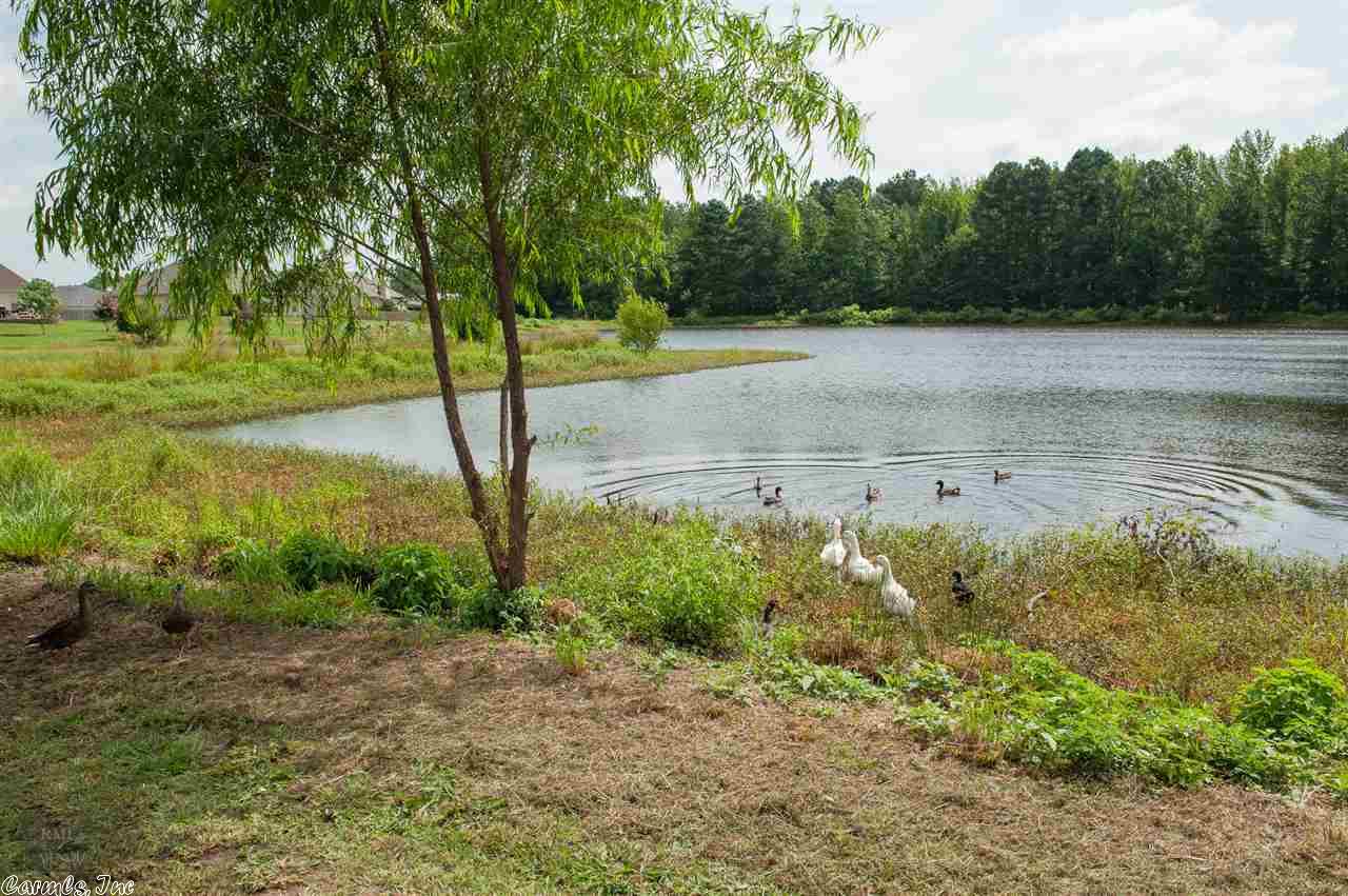 204 Timberlake Dr, Haskell, AR 72015 photo 28