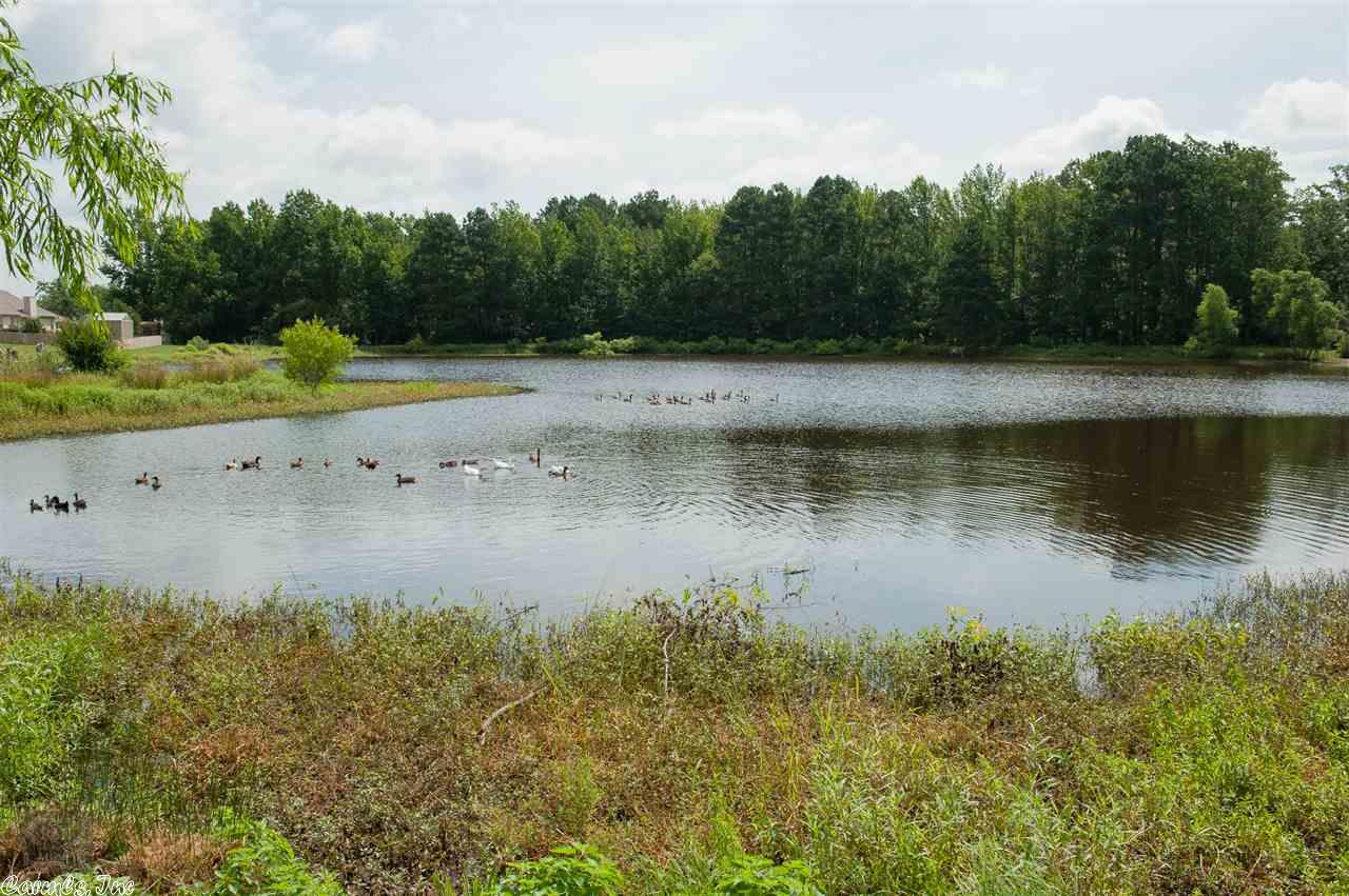 204 Timberlake Dr, Haskell, AR 72015 photo 30