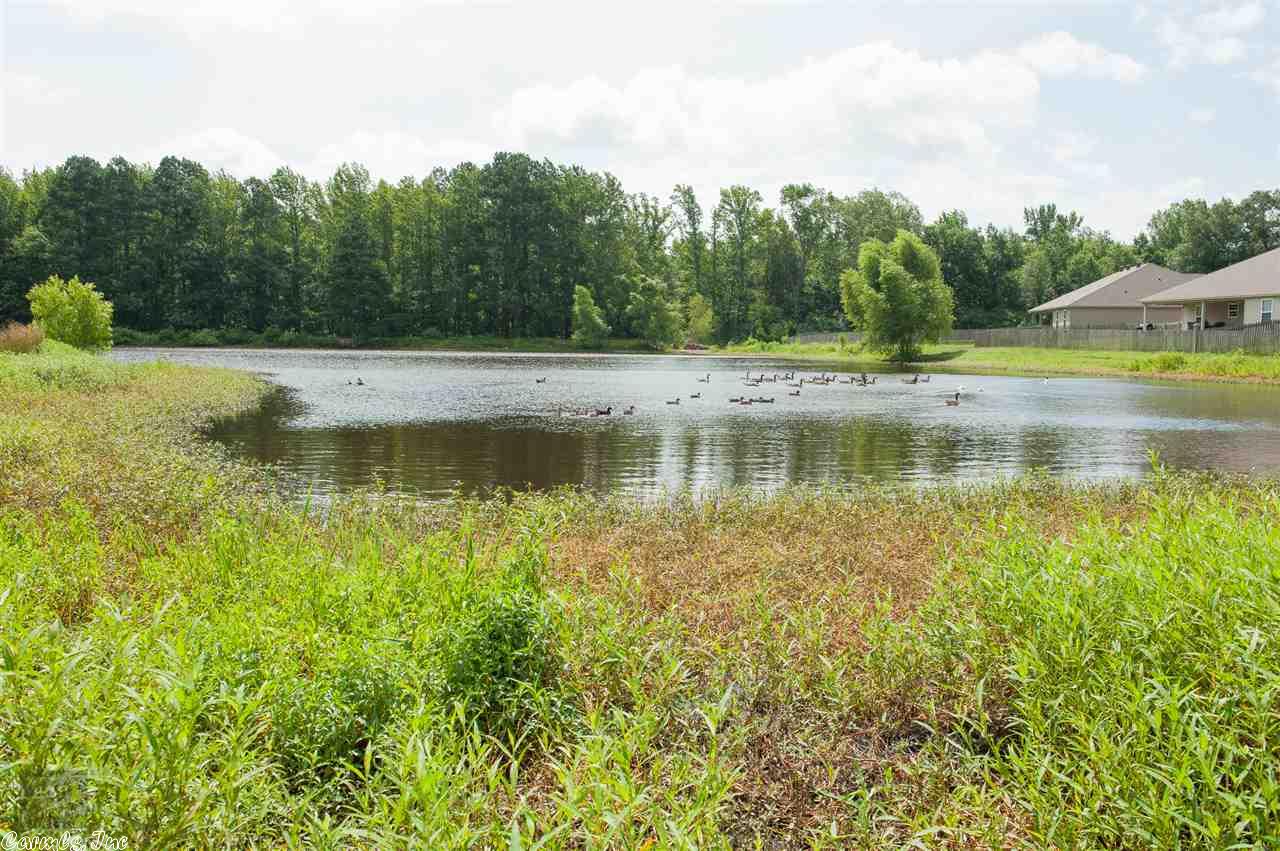 204 Timberlake Dr, Haskell, AR 72015 photo 32