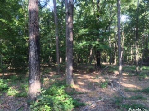 3320 E Mountain Rd, Bee Branch, AR 72013 photo 7