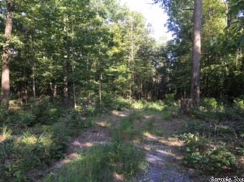 3320 E Mountain Rd, Bee Branch, AR 72013 photo 1