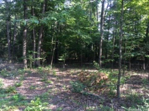 3320 E Mountain Rd, Bee Branch, AR 72013 photo 4