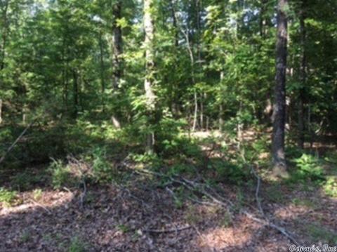 3320 E Mountain Rd, Bee Branch, AR 72013 photo 8