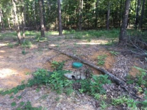 3320 E Mountain Rd, Bee Branch, AR 72013 photo 2