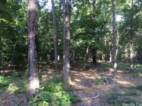 3320 E Mountain Rd, Bee Branch, AR 72013 photo 6