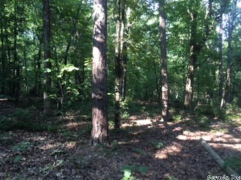 3320 E Mountain Rd, Bee Branch, AR 72013 photo 11