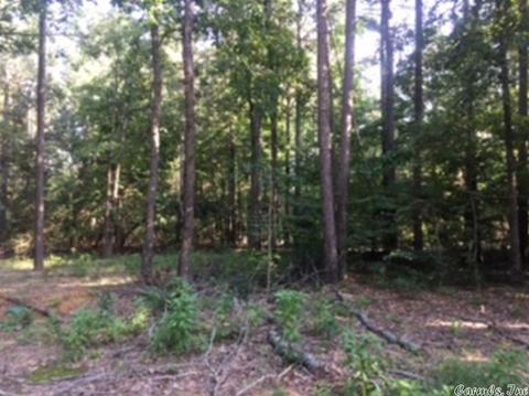 3320 E Mountain Rd, Bee Branch, AR 72013 photo 5
