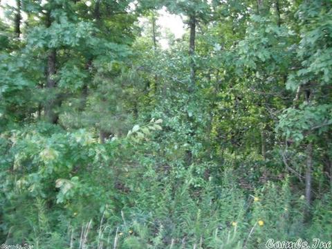 3320 E Mountain Rd, Bee Branch, AR 72013 photo 12