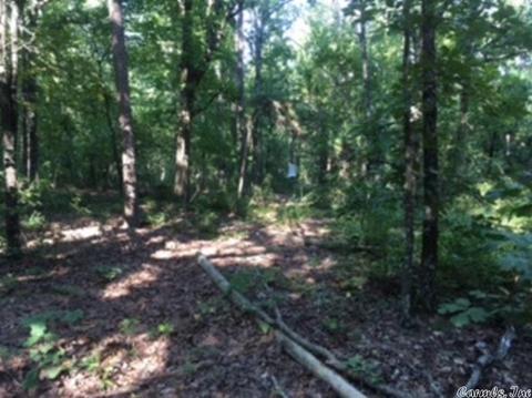 3320 E Mountain Rd, Bee Branch, AR 72013 photo 10