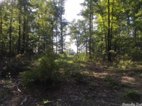 3320 E Mountain Rd, Bee Branch, AR 72013 photo 9