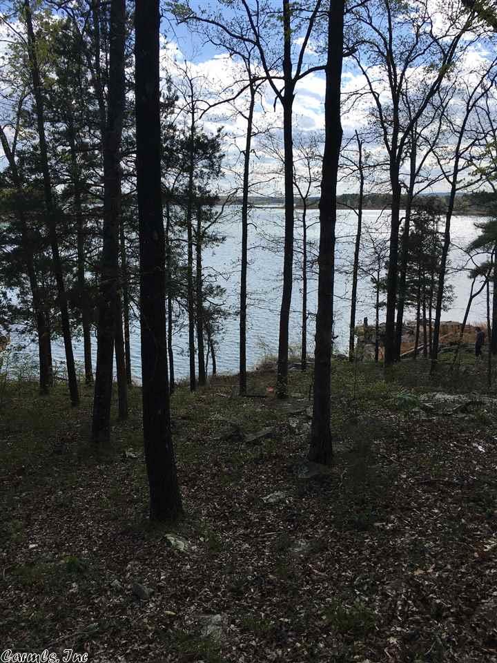 1160 S Diamond Head Road Hwy, Drasco, AR 72530 photo 4