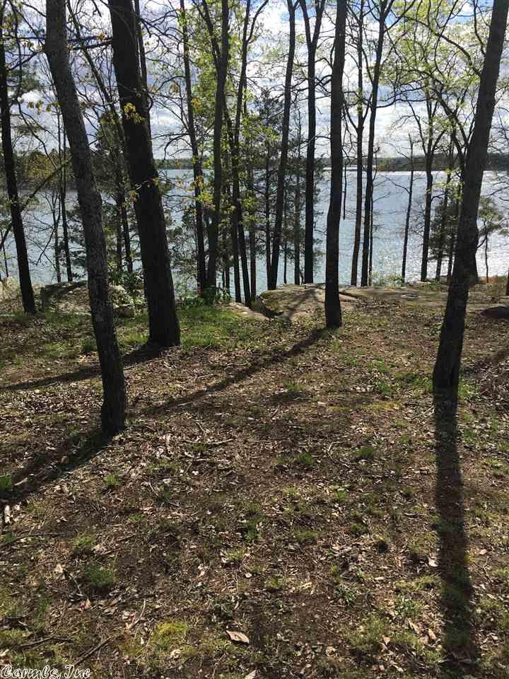 1160 S Diamond Head Road Hwy, Drasco, AR 72530 photo 3