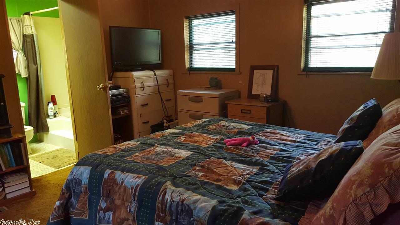115 Dry Bone Rd, Ash Flat, AR 72513 photo 8