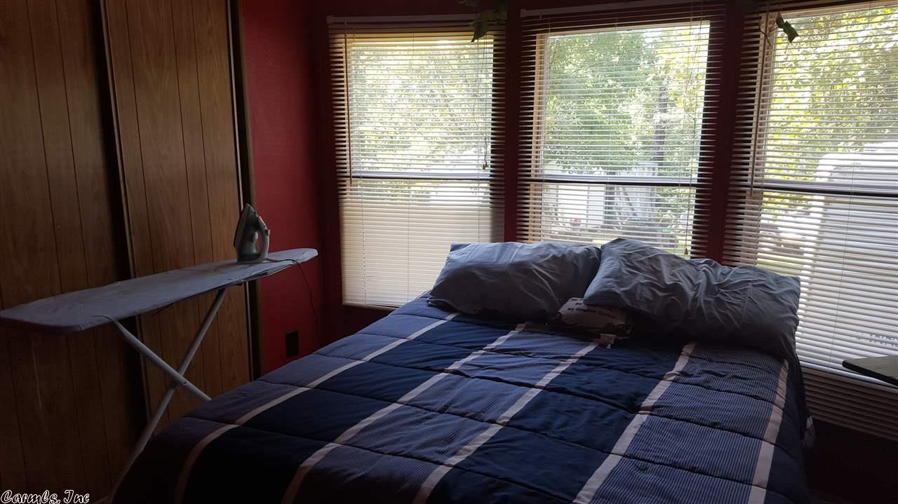 115 Dry Bone Rd, Ash Flat, AR 72513 photo 11