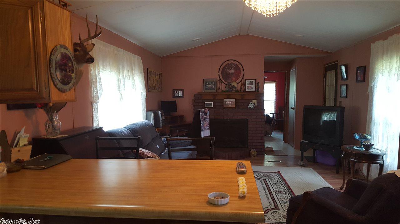 115 Dry Bone Rd, Ash Flat, AR 72513 photo 4
