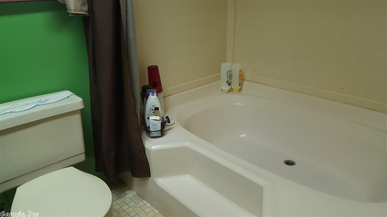 115 Dry Bone Rd, Ash Flat, AR 72513 photo 10