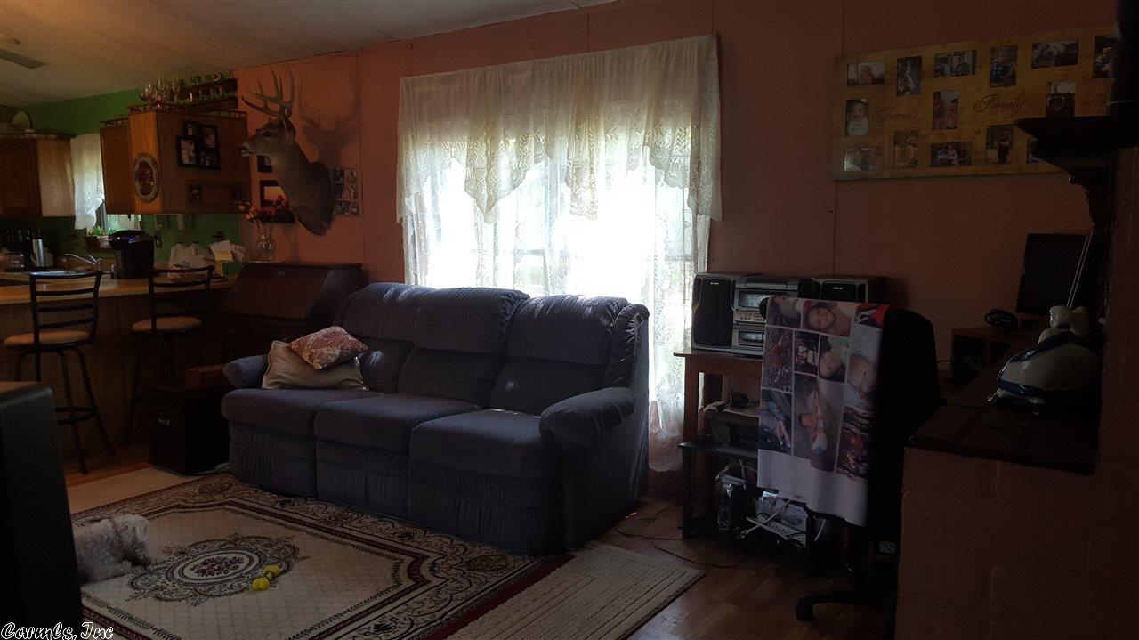 115 Dry Bone Rd, Ash Flat, AR 72513 photo 3