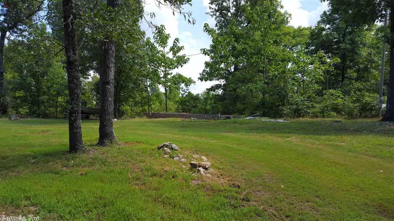115 Dry Bone Rd, Ash Flat, AR 72513 photo 17