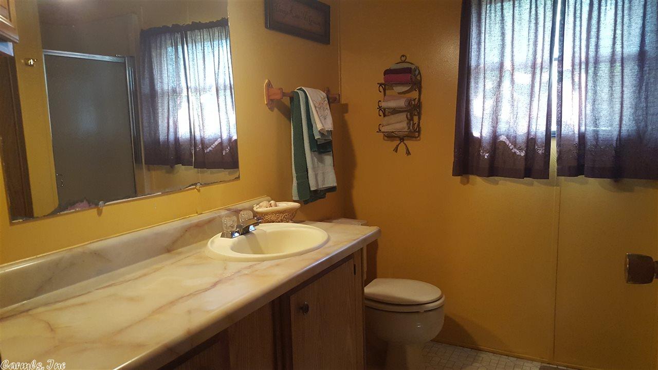 115 Dry Bone Rd, Ash Flat, AR 72513 photo 12