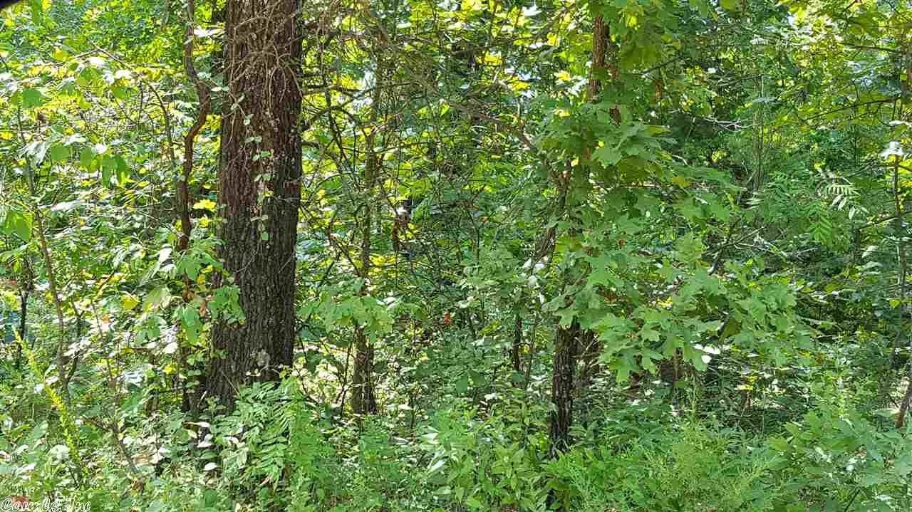 115 Dry Bone Rd, Ash Flat, AR 72513 photo 15