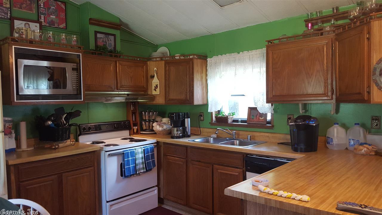 115 Dry Bone Rd, Ash Flat, AR 72513 photo 5