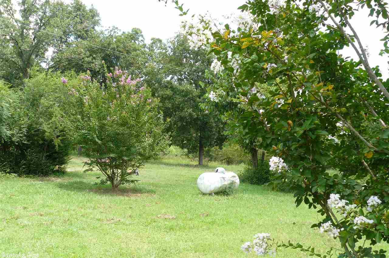 869 Oak Grove Loop, Timbo, AR 72680 photo 5