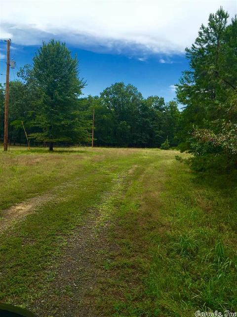 321 Mill Pond, Conway, AR 72034 photo 2