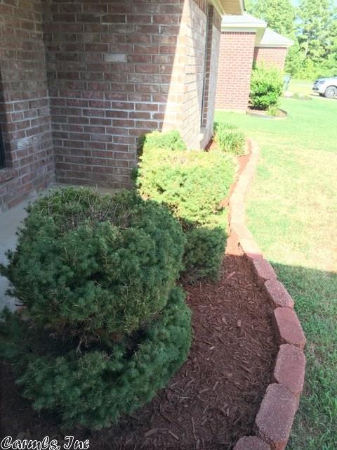 10 Ruby June, Vilonia, AR 72173 photo 31