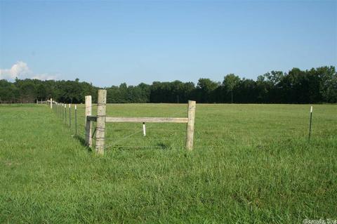 195 Jones Putman Rd, Mcrae, AR 72102 photo 3