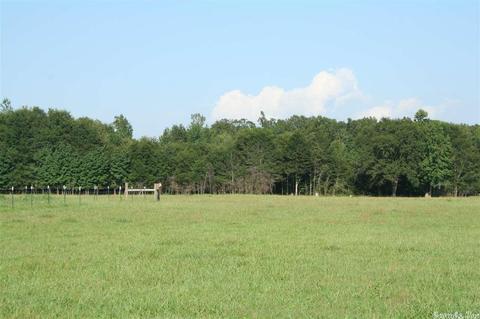 195 Jones Putman Rd, Mcrae, AR 72102 photo 5