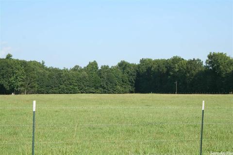195 Jones Putman Rd, Mcrae, AR 72102 photo 2