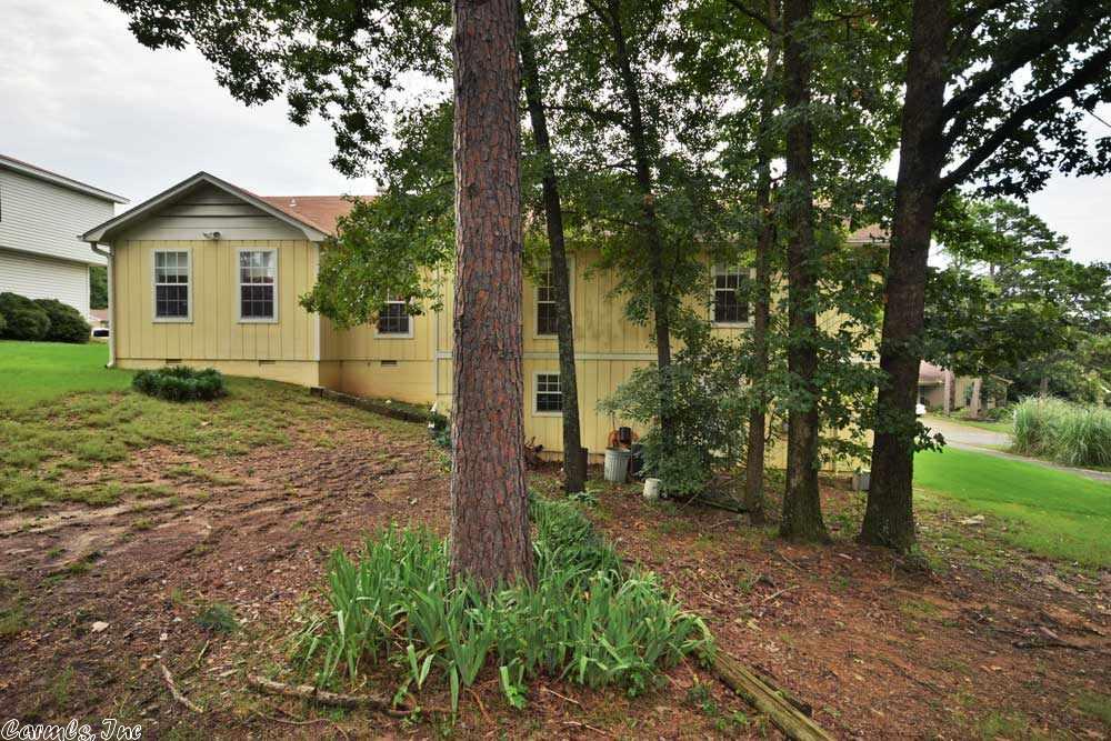 48 Hightrail, Maumelle, AR 72113 photo 24