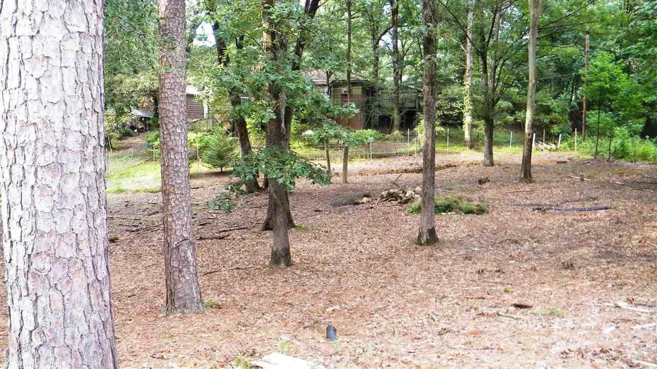 4 Raleigh Cir, Alexander, AR 72002 photo 29