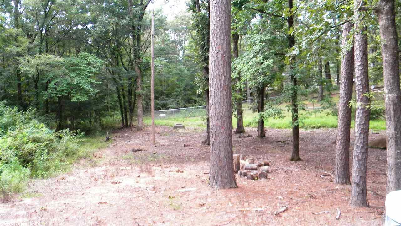 4 Raleigh Cir, Alexander, AR 72002 photo 28