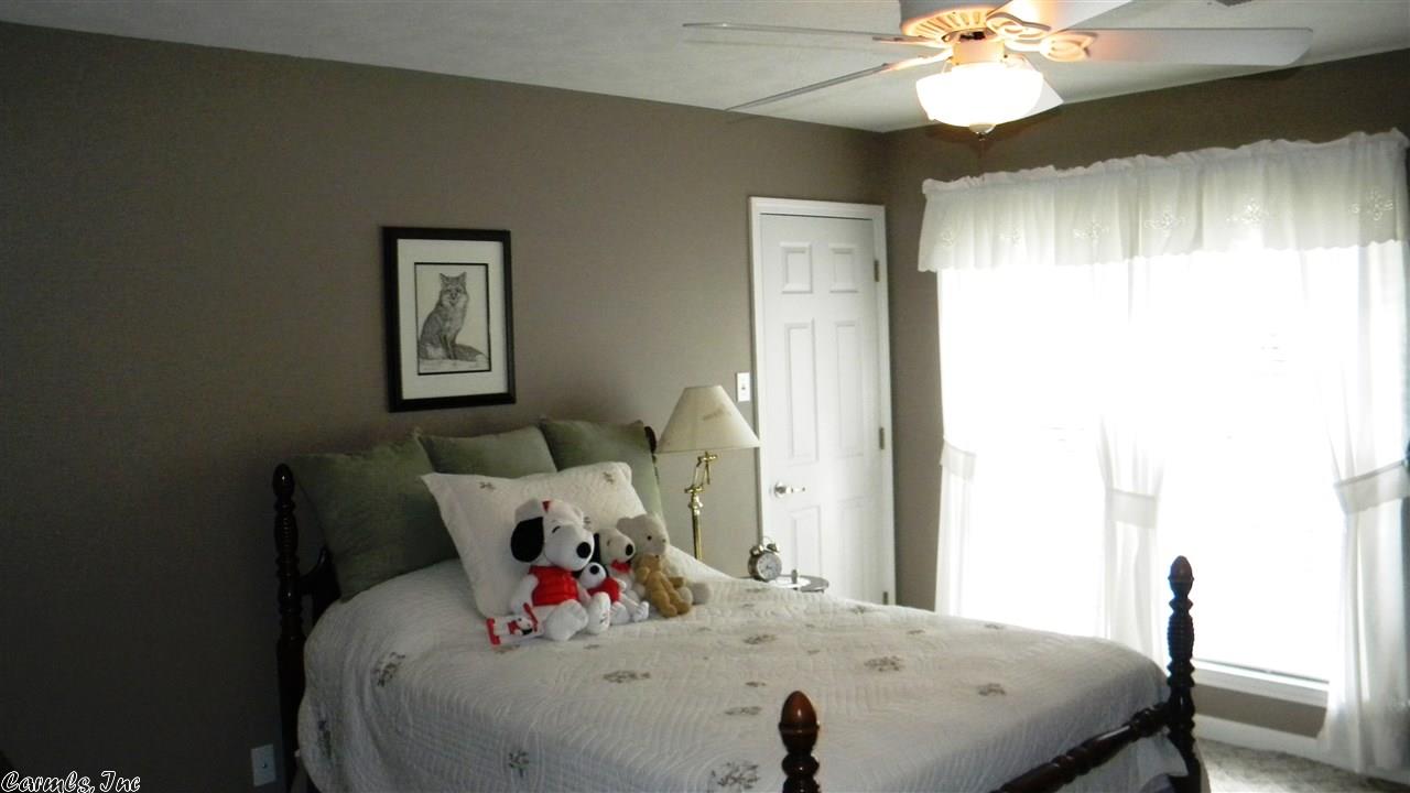 4 Raleigh Cir, Alexander, AR 72002 photo 24