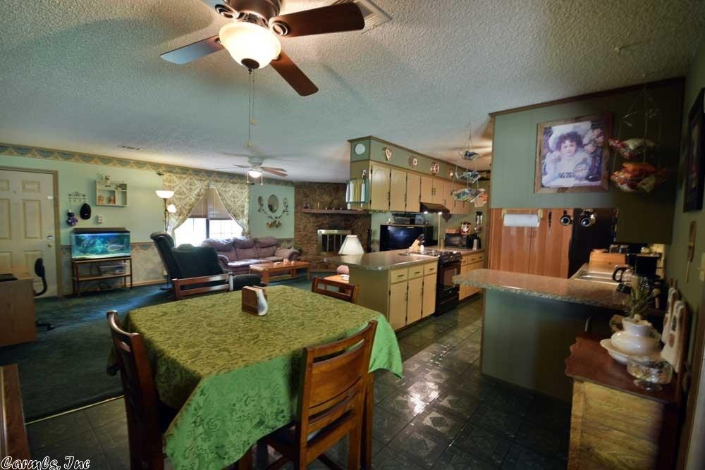 8 Palmer Dr, Conway, AR 72032 photo 7