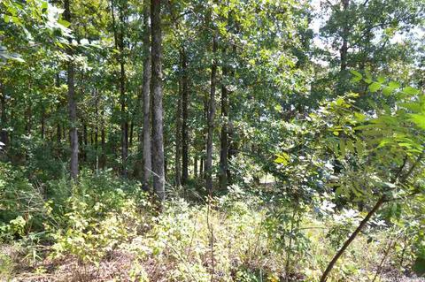 87 89 Greystone Blvd, Cabot, AR 72023 photo 6