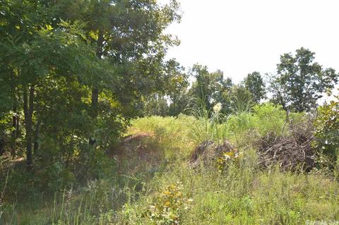 87 89 Greystone Blvd, Cabot, AR 72023 photo 4