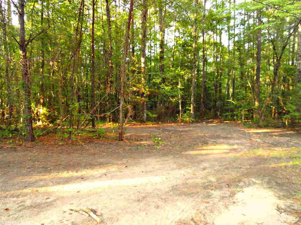 6607 E Hwy 190, White Hall, AR 71602 photo 3