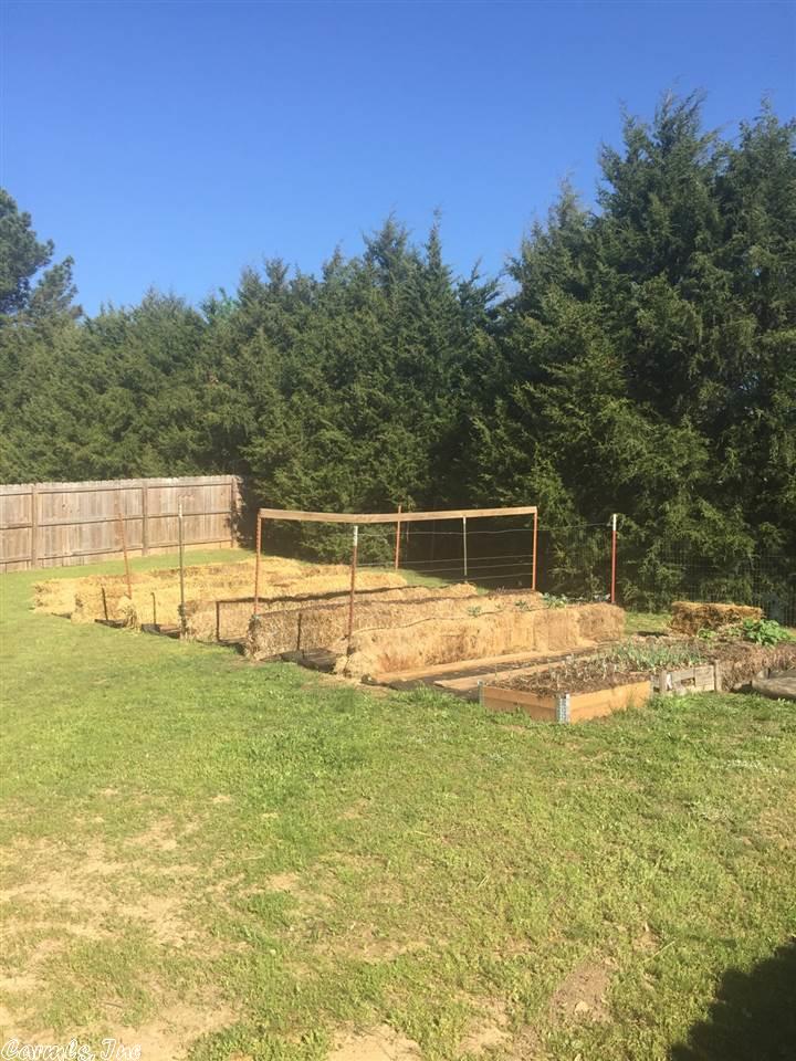 2 White Cloud, Greenbrier, AR 72058 photo 16