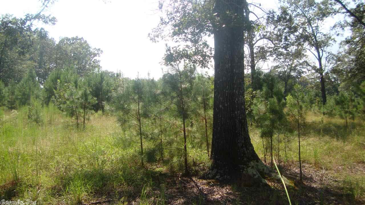 1374 Kirkpatrick, Malvern, AR 72104 photo 27