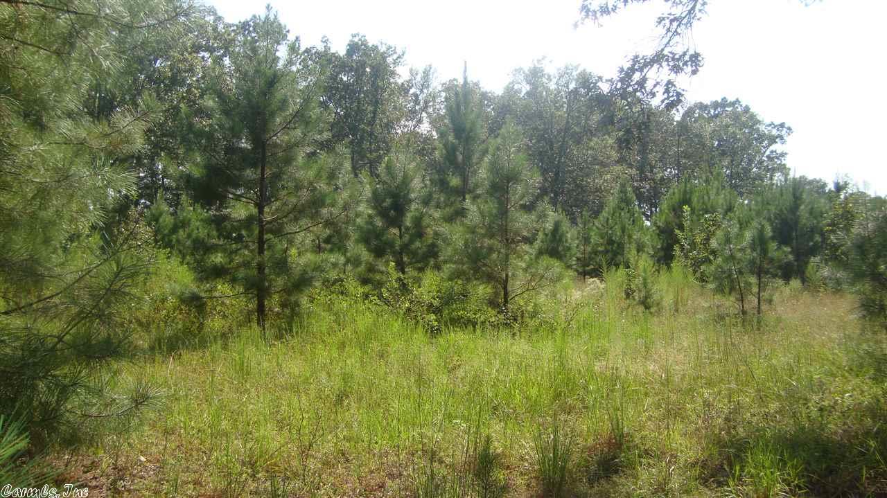 1374 Kirkpatrick, Malvern, AR 72104 photo 26