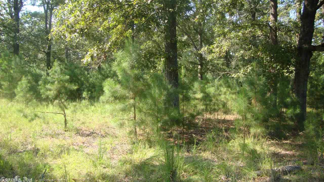 1374 Kirkpatrick, Malvern, AR 72104 photo 29