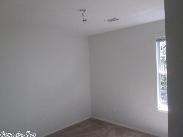 29 Caney Hill Rd, Conway, AR 72032 photo 12