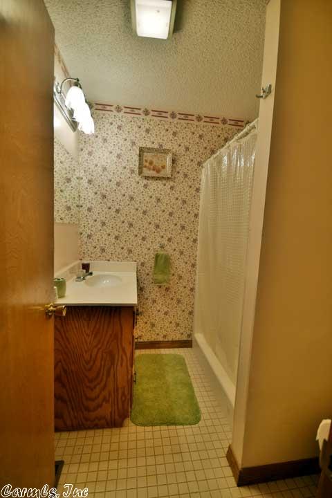 3167 Hwy 330 E, Clinton, AR 72031 photo 28